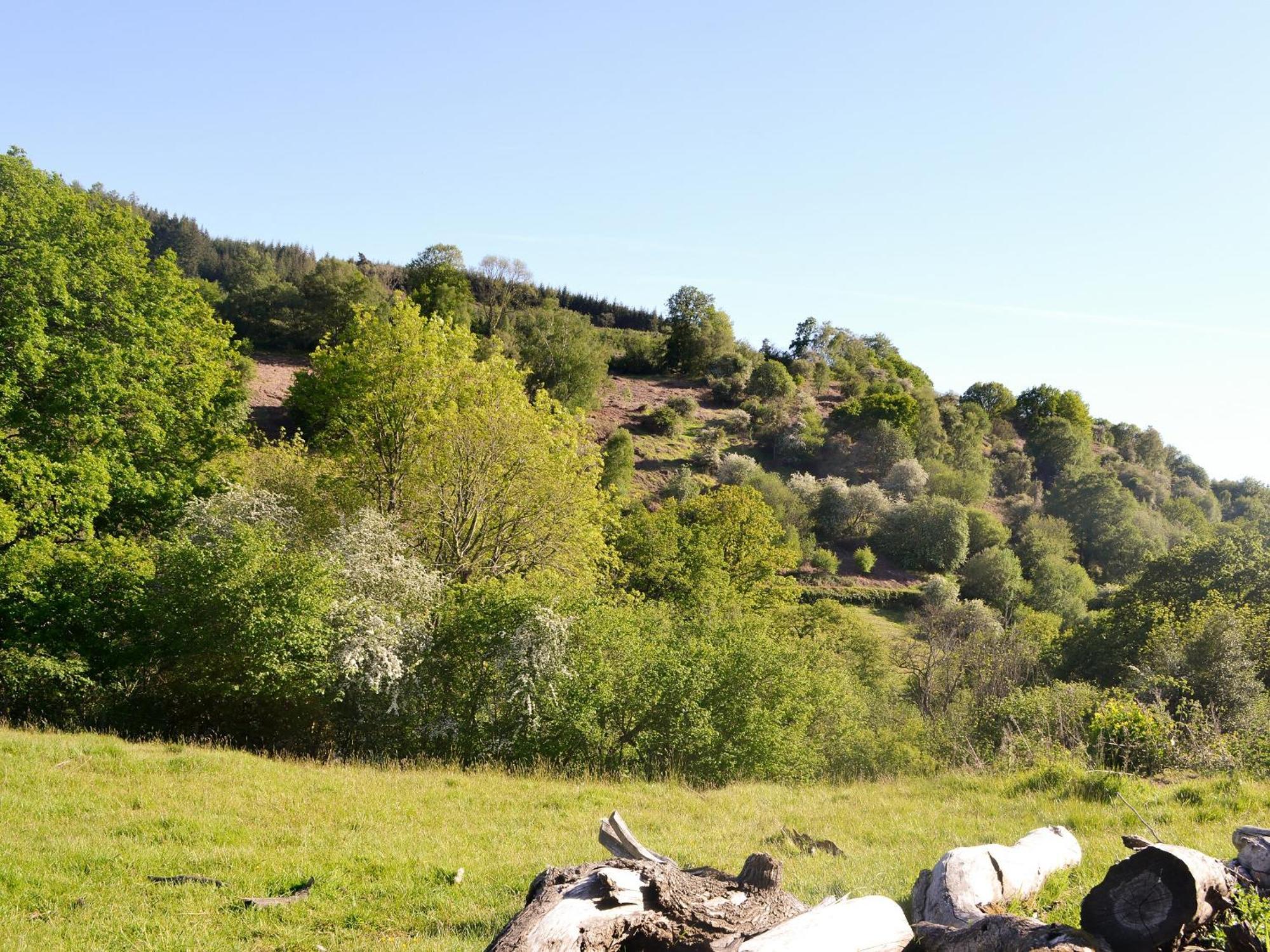 The Old Cider Mill Βίλα Llanstephan  Εξωτερικό φωτογραφία